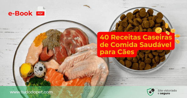 Comida Saudável para Cães - 40 Receitas Caseiras é o e-book definitivo que faltava para variar a alimentação do seu cãozinho de forma fácil e com ingredientes baratos que você tem na sua casa.