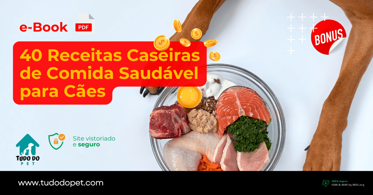 Comida Saudável para Cães – 40 Receitas Caseiras